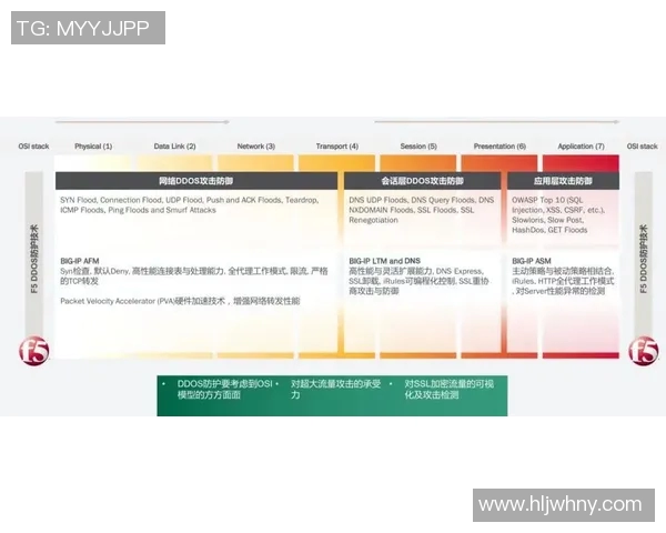 WE战队盯防策略分析与成效评估探讨